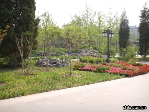 ���������@�ؽ�����