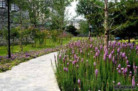 �������ǉ��zַ���@�|�ǶξG������