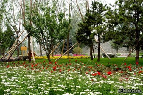 �������ǉ��zַ���@�|�ǶξG������