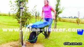 Ӣ������ľ����ˮ������(�D)