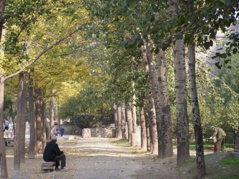 �Ϸ��Эh�ǹ��@