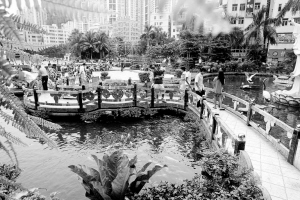 ���ڹ��@���������еľ��²�D