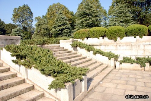 ������ʾ�