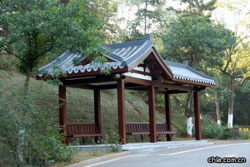 ������ʾ�(�M�D)