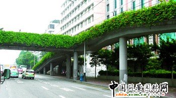 �N�ϾGɫֲ����������B��