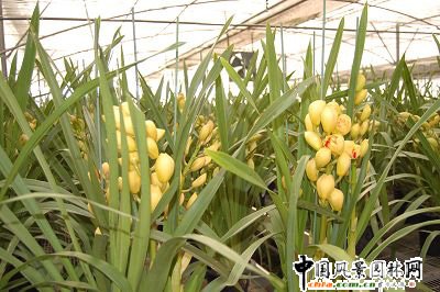 �L���ֿƼ�������ʿ:09���������������