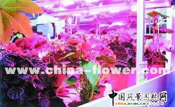 ȫ��@ˇ�a�I�۽��ɳ��m�lչ