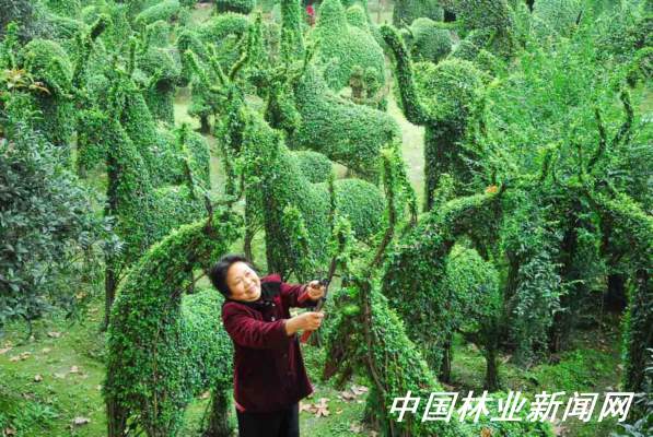 ԓ�^�ľG��ֲ�����B�@ˇ��һ��