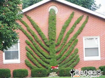 ����ć�(gu��)��@��ˇ�g(sh��)(�M�D)