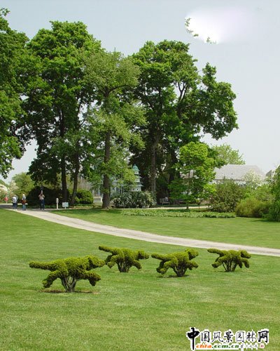 ����ć���@��ˇ�g(sh��)(�M�D)