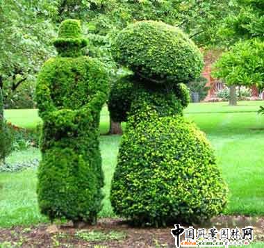 ����ć���@��ˇ�g(sh��)(�M�D)