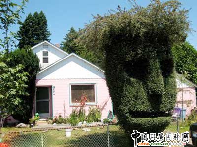 ����ć���@��ˇ�g(�M�D)