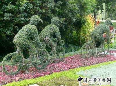 ����ć�(gu��)��@��ˇ�g(sh��)(�M�D)