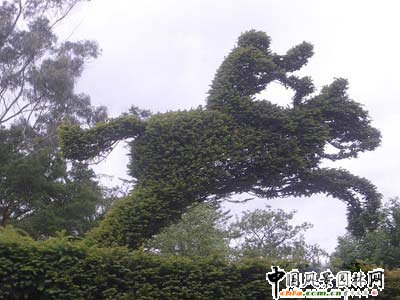 ����ć���@��ˇ�g(�M�D)