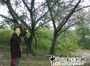 �ؑc�����Յ^(q��)�U���@�F(xi��n)30�ꡰ���ޡ��S���(�D)