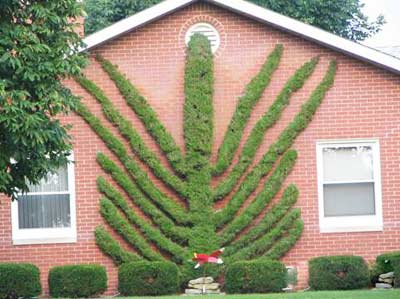 ���⯂��Ĉ@��ˇ�g(sh��)