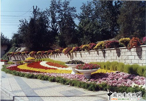 ����(�M�D)