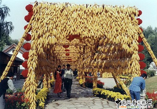 ����(�M�D)