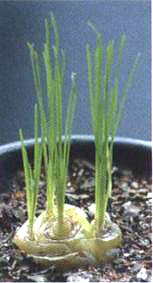 4��δ���������~