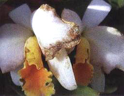 �D4  ������