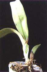 �D8  ������