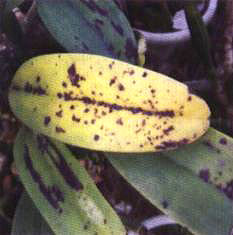 �D10  ���~������