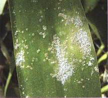 �D13  �隤�xΣ���~����