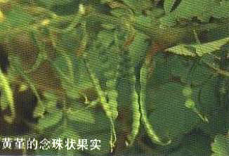 �S���������y����