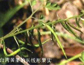 �_���S�����L���ι���