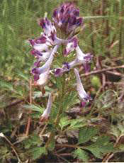 ���~���������،�