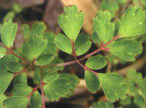 ��ѿ��������~������