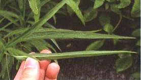 ���J���~Ƭ�ΑB