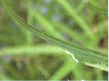 ���J���~Ƭ�ΑB