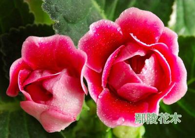 �҃������»���