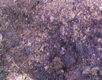 ������|�����~����̦�\=3��1��