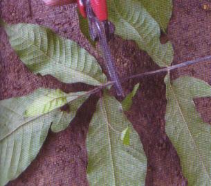 ��ȡ����