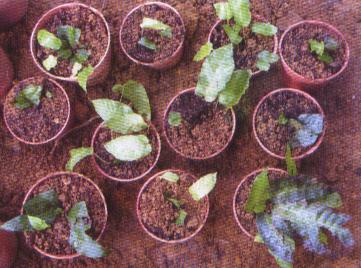 ÿ������Ϊ��b��