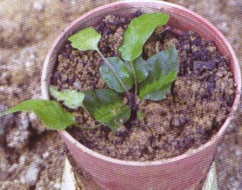 ���µ������Ü\�����wס����