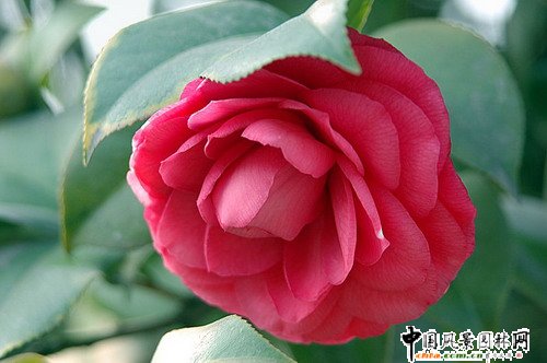 �V�|�����Ј��軨��܊ͻ��