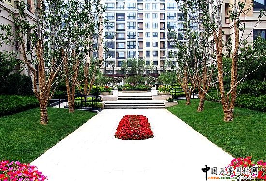 2008�����Ʒ����֮�����G�ǡ��ٺϹ�Ԣ