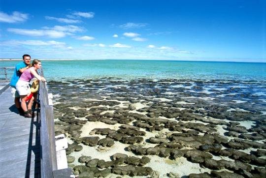 �c(di��n)���g�[��һ��