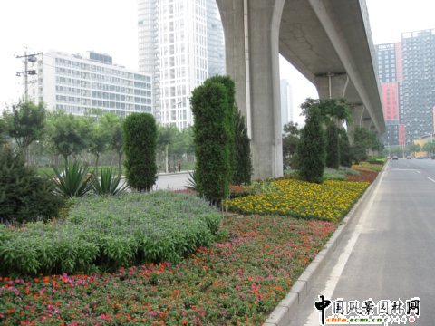 北苑路高架橋下中心隔離帶綠化工程