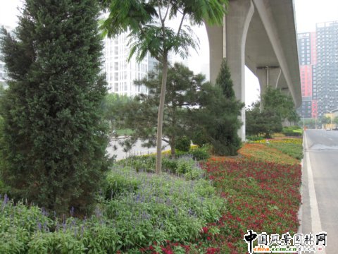 北苑路高架橋下中心隔離帶綠化工程