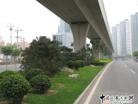 北苑路高架橋下中心隔離帶綠化工程