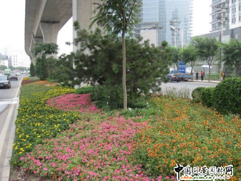 北苑路高架橋下中心隔離帶綠化工程