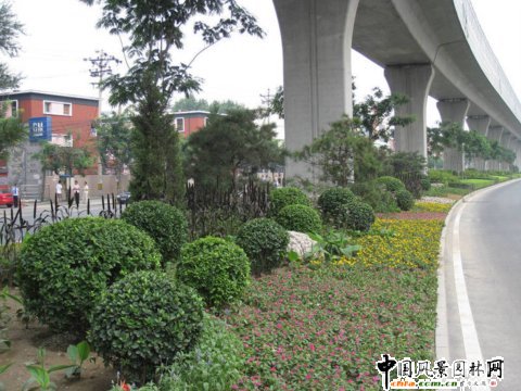 北苑路高架橋下中心隔離帶綠化工程