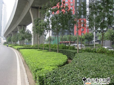 北苑路高架橋下中心隔離帶綠化工程