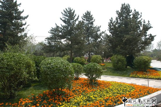 2008�����Ʒ����֮���Ҵ�Ժ�����h���G������