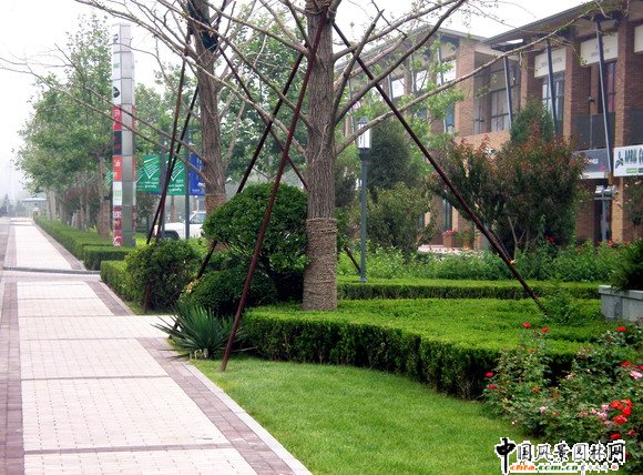 龍灣別墅商業街景觀工程商業街道路