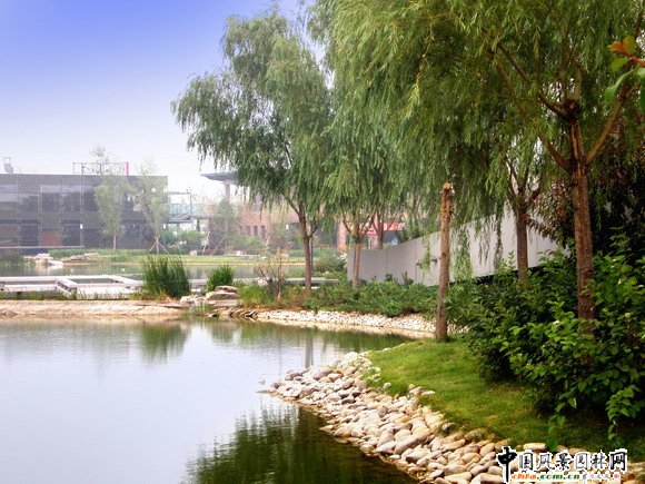 龍灣別墅商業(yè)街景觀工程5#樓遠(yuǎn)景